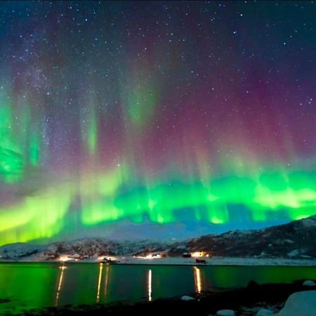 In The Heart Of The Aurora Borealis - Tromso City Εξωτερικό φωτογραφία