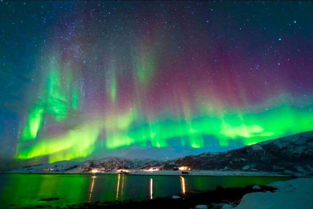 In The Heart Of The Aurora Borealis - Tromso City Εξωτερικό φωτογραφία