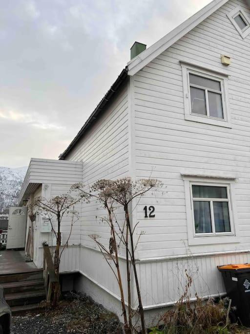 In The Heart Of The Aurora Borealis - Tromso City Εξωτερικό φωτογραφία