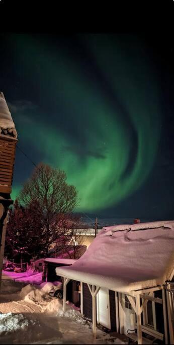 In The Heart Of The Aurora Borealis - Tromso City Εξωτερικό φωτογραφία